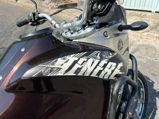 YAMAHA-XTZ 250 TÉNÉRÉ BLUEFLEX-2016