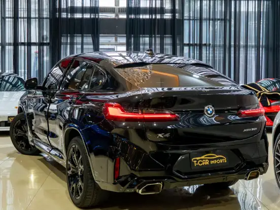 BMW-X4-2.0 16V GASOLINA XDRIVE30I M SPORT STEPTRONIC BMW-X4-2024