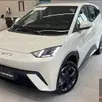 BYD DOLPHIN MINI 38 KW ELÉTRICO GS BYD DOLPHIN MINI 38 KW ELÉTRICO GS