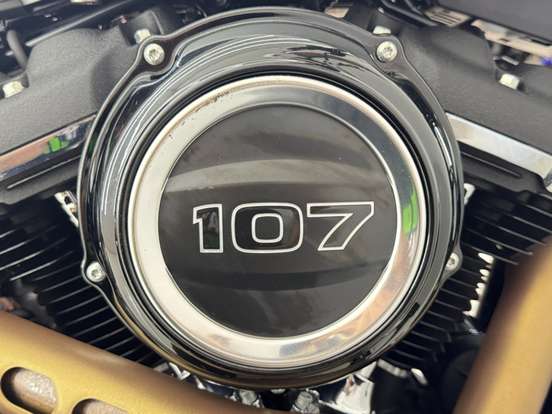HARLEY-DAVIDSON-SOFTAIL FAT BOB 107-2019