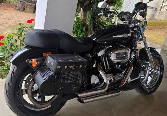 HARLEY-DAVIDSON-SPORTSTER 1200 XL CUSTOM-2012