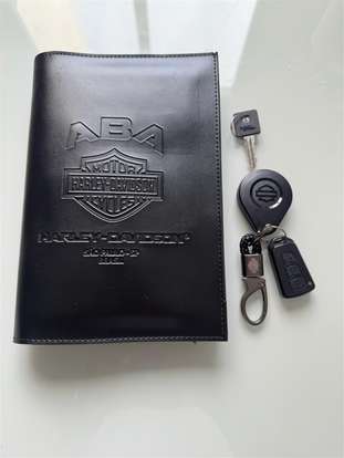HARLEY-DAVIDSON-SPORTSTER IRON 883-2020