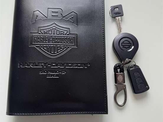 HARLEY-DAVIDSON-SPORTSTER IRON 883 HARLEY-DAVIDSON-SPORTSTER IRON 883-2020