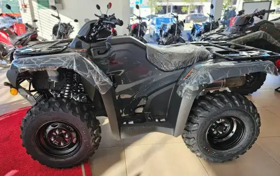 HONDA-TRX 420 FOURTRAX 4X4-2026