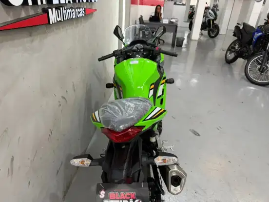 KAWASAKI-NINJA 300 KAWASAKI-NINJA 300-2025