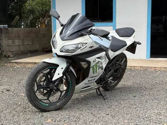 KAWASAKI-NINJA 300 KAWASAKI-NINJA 300-2013