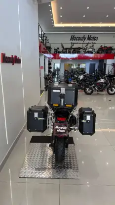 TRIUMPH-TIGER 900 RALLY PRO-2024