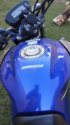 YAMAHA YS 250 FAZER BLUEFLEX 