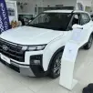 HYUNDAI CRETA 1.0 TGDI FLEX LIMITED AUTOMÁTICO HYUNDAI CRETA 1.0 TGDI FLEX LIMITED AUTOMÁTICO