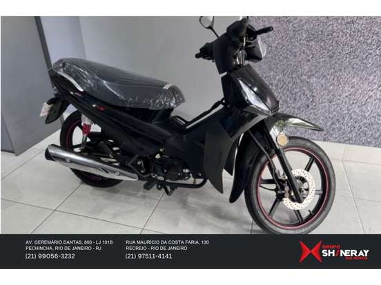 SHINERAY-PHOENIX S 50 SHINERAY-PHOENIX S 50-2025