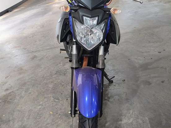 YAMAHA-YS 250 FAZER BLUEFLEX YAMAHA-YS 250 FAZER BLUEFLEX-2016