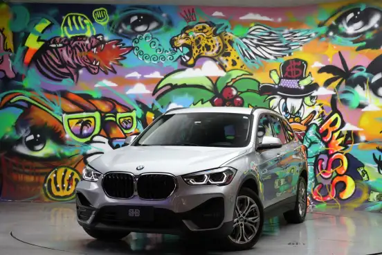BMW-X1-2019