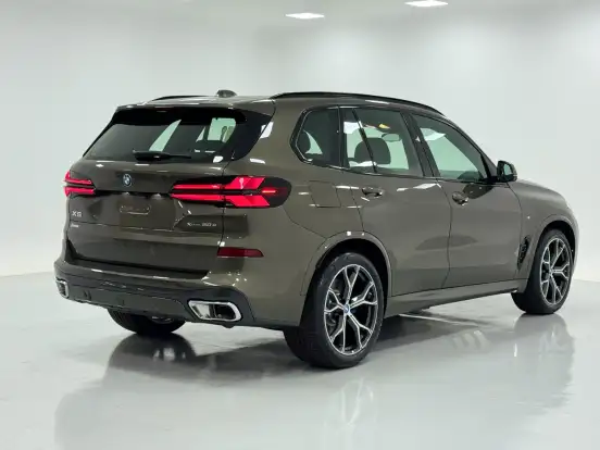 BMW-X5-3.0 I6 TURBO HÍBRIDO XDRIVE50E M SPORT AUTOMÁTICO BMW-X5-2025