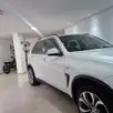 BMW X5 3.0 4X4 30D I6 TURBO DIESEL 4P AUTOMÁTICO BMW X5 3.0 4X4 30D I6 TURBO DIESEL 4P AUTOMÁTICO
