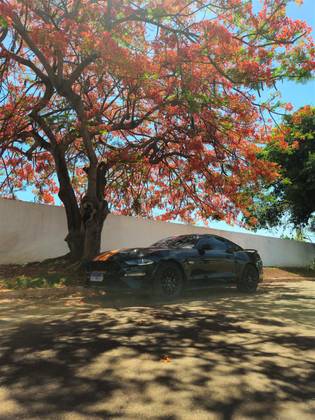 FORD MUSTANG 5.0 V8 TI-VCT GASOLINA GT PREMIUM SELECTSHIFT