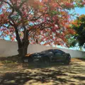 FORD MUSTANG 5.0 V8 TI-VCT GASOLINA GT PREMIUM SELECTSHIFT FORD MUSTANG 5.0 V8 TI-VCT GASOLINA GT PREMIUM SELECTSHIFT