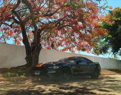 FORD MUSTANG 5.0 V8 TI-VCT GASOLINA GT PREMIUM SELECTSHIFT FORD MUSTANG 5.0 V8 TI-VCT GASOLINA GT PREMIUM SELECTSHIFT