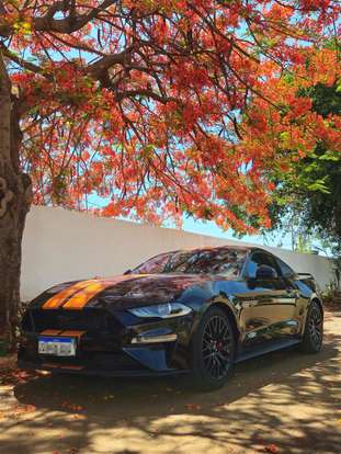 FORD-MUSTANG-2018