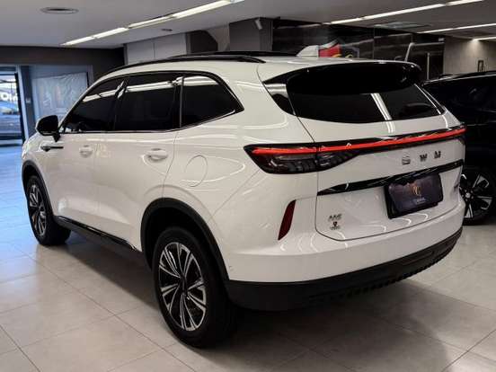 GWM-HAVAL H6-1.5 PHEV19 E-TRACTION GWM-HAVAL H6-2025