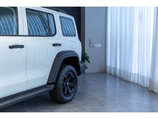 GWM-TANK 300-2025