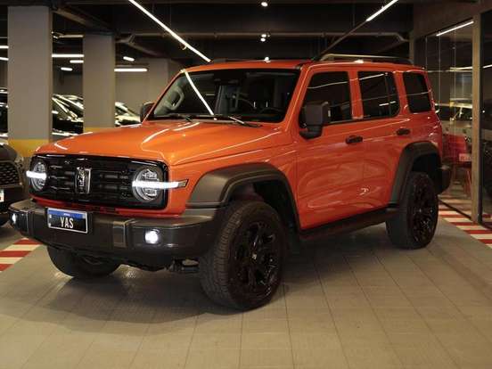 GWM-TANK 300-2025