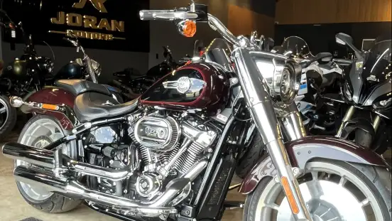 HARLEY-DAVIDSON-SOFTAIL FAT BOY 114-2022