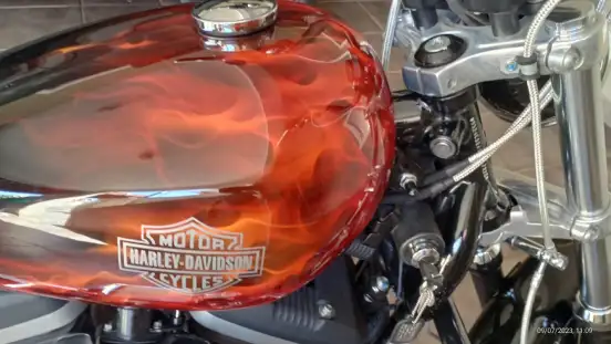 HARLEY-DAVIDSON-SPORTSTER XL 883 R-2010