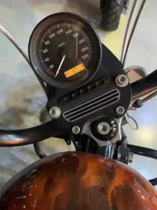 HARLEY-DAVIDSON-SPORTSTER XL 883 R-2010