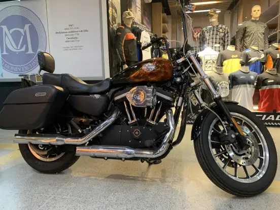 HARLEY-DAVIDSON-SPORTSTER XL 883 R-2010