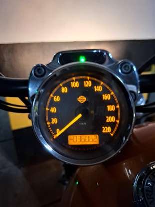 HARLEY-DAVIDSON-SPORTSTER 1200 CUSTOM CA LIMITED-2015