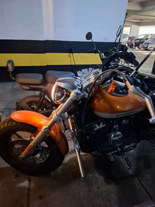 HARLEY-DAVIDSON-SPORTSTER 1200 CUSTOM CA LIMITED-2015