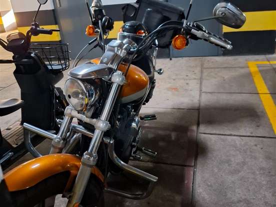HARLEY-DAVIDSON-SPORTSTER 1200 CUSTOM CA LIMITED HARLEY-DAVIDSON-SPORTSTER 1200 CUSTOM CA LIMITED-2015