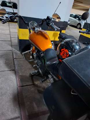 HARLEY-DAVIDSON-SPORTSTER 1200 CUSTOM CA LIMITED-2015