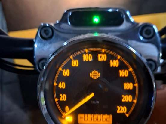 HARLEY-DAVIDSON-SPORTSTER 1200 CUSTOM CA LIMITED HARLEY-DAVIDSON-SPORTSTER 1200 CUSTOM CA LIMITED-2015