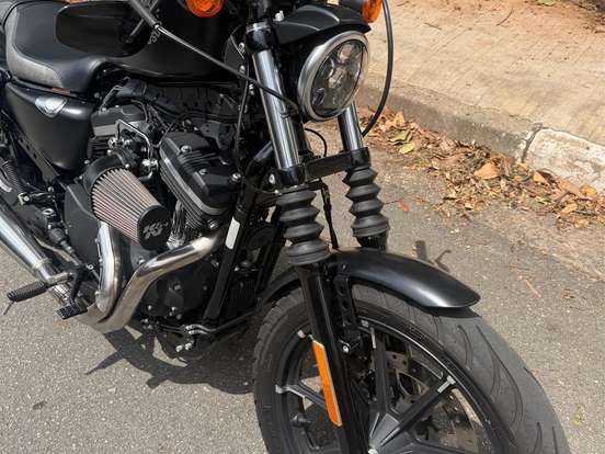 HARLEY-DAVIDSON-SPORTSTER IRON 883 HARLEY-DAVIDSON-SPORTSTER IRON 883-2019