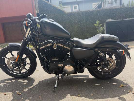 HARLEY-DAVIDSON-SPORTSTER IRON 883 HARLEY-DAVIDSON-SPORTSTER IRON 883-2019