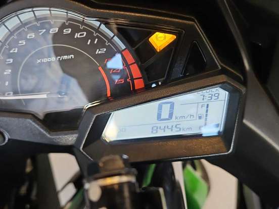 KAWASAKI-NINJA 300 KAWASAKI-NINJA 300-2024