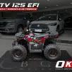 SHINERAY ATV 125 SHINERAY ATV 125