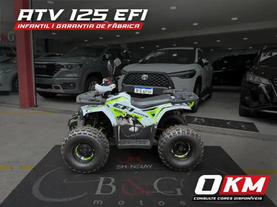 SHINERAY-ATV 125 SHINERAY-ATV 125-2025