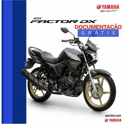 YAMAHA FACTOR 150 DX 