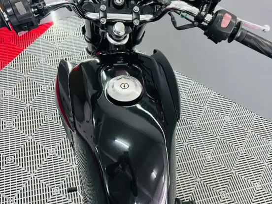 YAMAHA-FACTOR YBR 125 ED YAMAHA-FACTOR YBR 125 ED-2011
