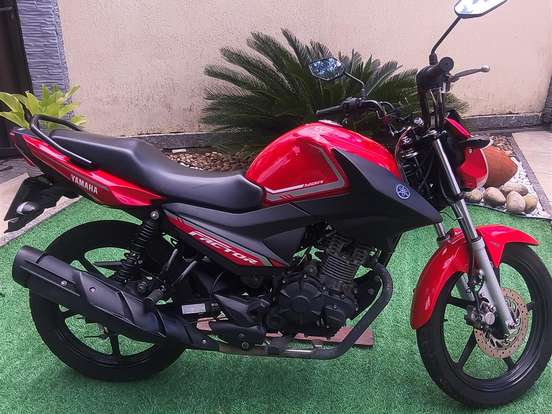 YAMAHA-FACTOR YBR 150 ED YAMAHA-FACTOR YBR 150 ED-2024