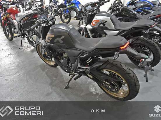 ZONTES-GK350 ZONTES-GK350-2025