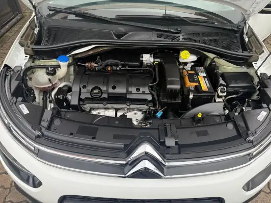 CITROËN-C4 CACTUS-2019