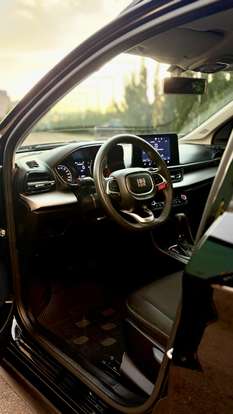 FIAT-PULSE-2024