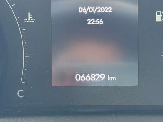 FIAT-PULSE-2022