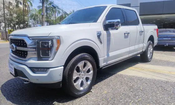FORD F-150 5.0 V8 GASOLINA CD PLATINUM FX4 AUTOMÁTICO