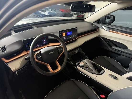 GWM-HAVAL H6-1.5 PHEV19 E-TRACTION GWM-HAVAL H6-2024