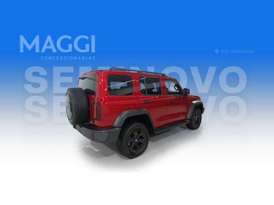 GWM-TANK 300-2025