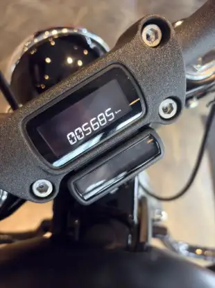 HARLEY-DAVIDSON-SOFTAIL STREET BOB HARLEY-DAVIDSON-SOFTAIL STREET BOB-2018